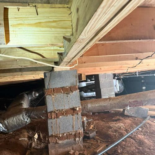 WhatsApp Image 2026-03-12 at 7.59.26 AM