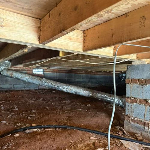 WhatsApp Image 2026-03-12 at 7.59.28 AM